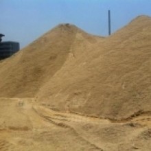港闸黄沙批发价格